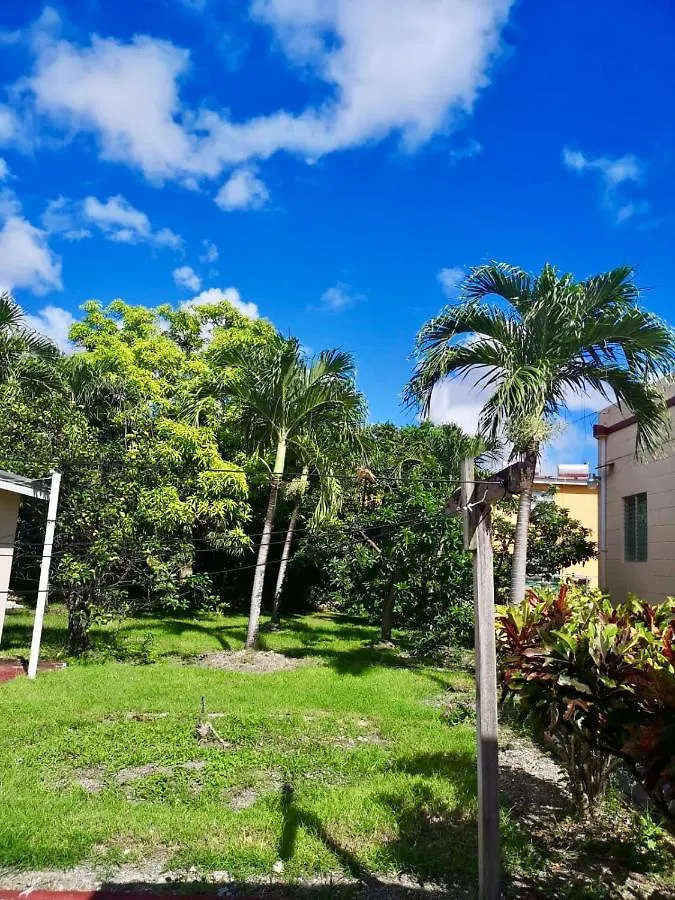 Ventnor House Apartments Bridgetown 0*,