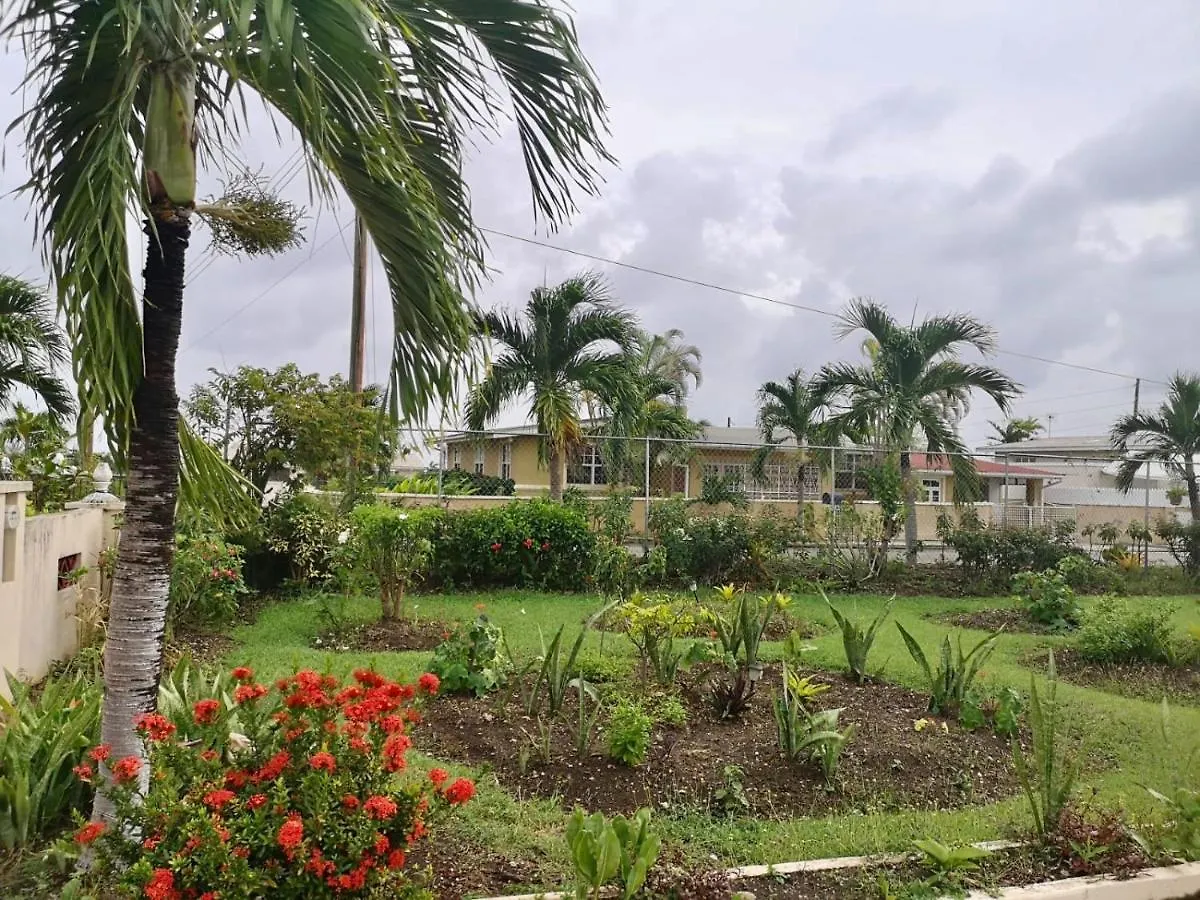 Ventnor House Apartments Bridgetown 0*,