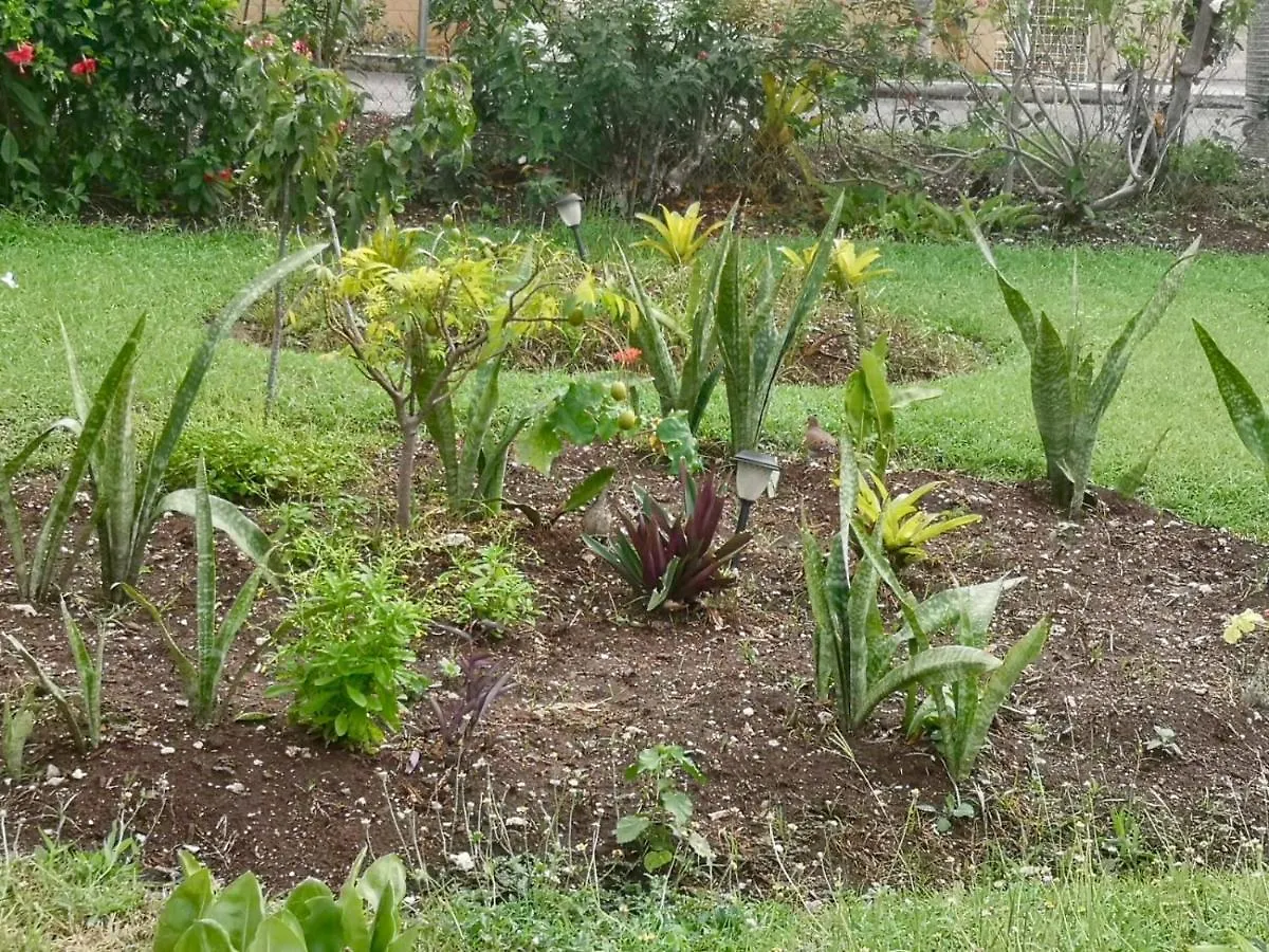 Ventnor House Apartments Bridgetown Barbados